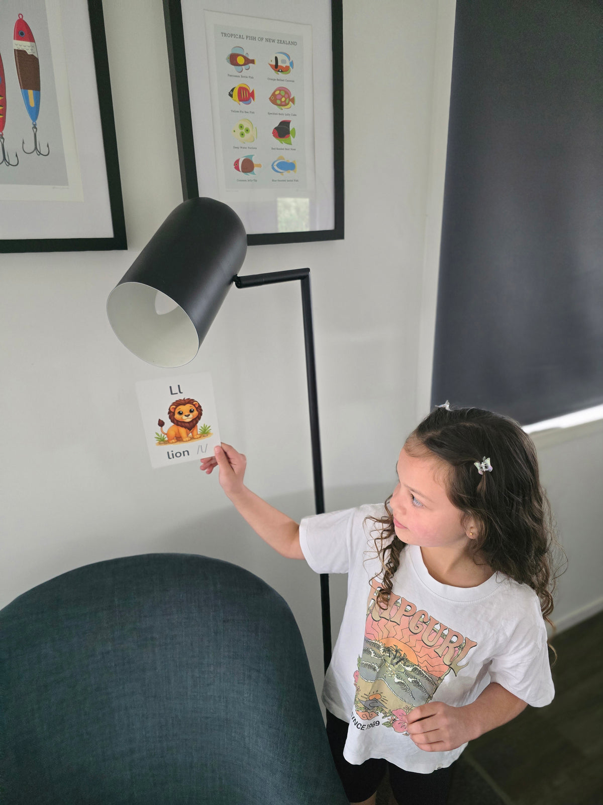 Phonics Play Pack