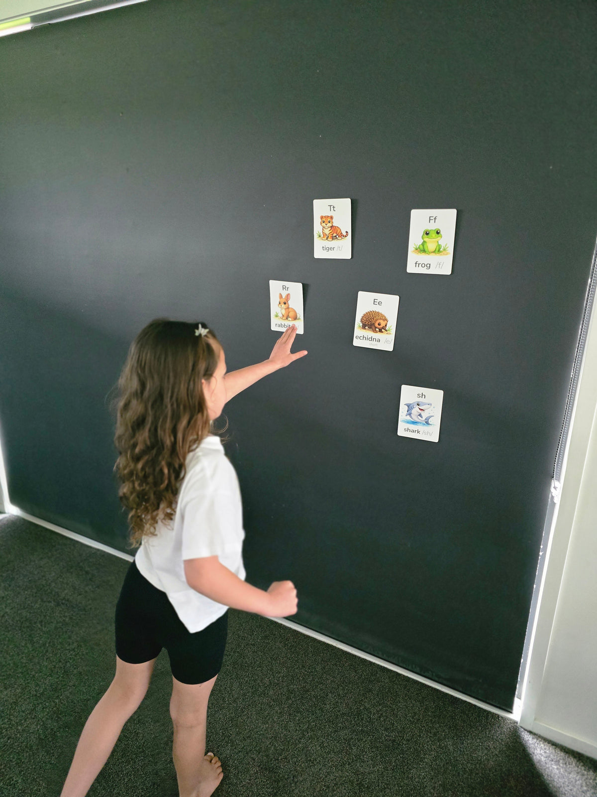 Phonics Play Pack