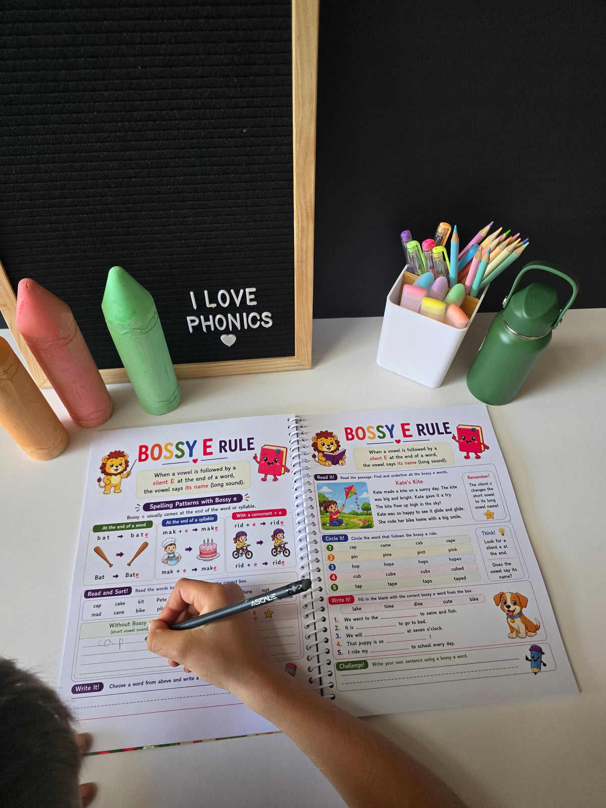 Book Worm Bundle